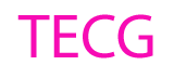 The Excelling Church GA, Inc. logo